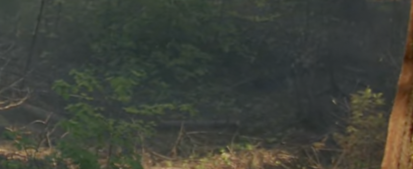 Screenshot 2026-03-05 at 8.41.22 AM.png